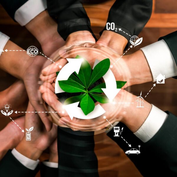 Compliance Regulatório: Fundamento para Sustentabilidade e Valorização Empresarial
