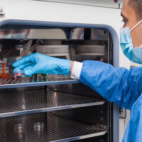 estufa de esterilização e secagem