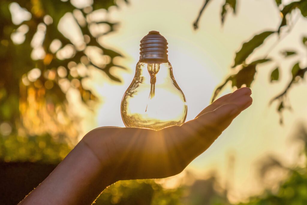 Energia Limpa e competitividade por que empresas que descarbonizam saem na frente