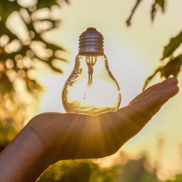 Energia Limpa e competitividade: por que empresas que descarbonizam saem na frente